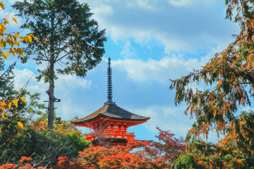 Obraz premium Kiyomizu-dera temple is a&nbsp;zen&nbsp;buddhist temple&nbsp;in autum season and one of the most popular buildings in&nbsp;Kyoto Japan.