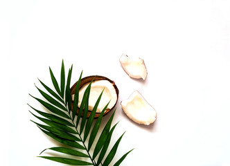 Tropical background with coconut halves. Palm leaves on white isolated background. 