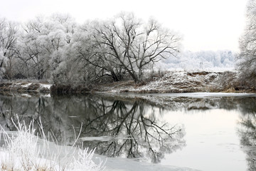 Beautiful winter view of the river, the tops of the trees covered with snow and hoarfrost
