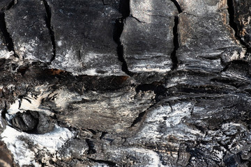 the texture of burnt wood