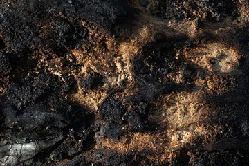 the texture of burnt rotten wood