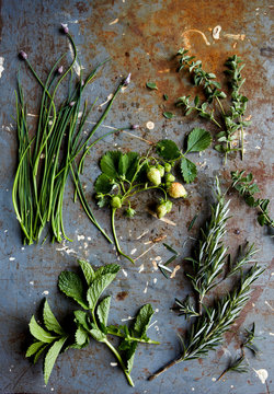 Herbs on metal surface