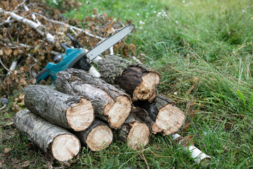Chainsaw on cutting log wood or firewood