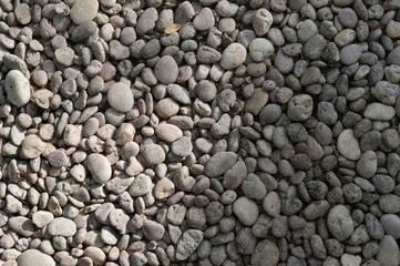 Rock on floor with background.
