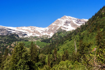 Fototapeta na wymiar Landscape of a Peak in Glacier National Park, Montana