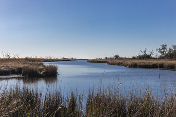 Looking down a calm river surrounded by marshlands