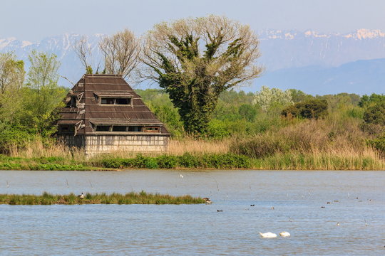 Bird observatory house in the Isola della Cona reserve marshlands, Italy