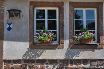 Fototapeta na wymiar flowers by the window at a house in Germany