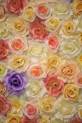 Beautiful vintage Rose background. Elegant style floral.