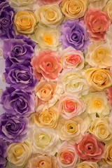Beautiful vintage Rose background. Elegant style floral.