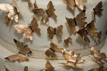  Butterfly on Wedding Cake