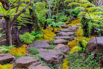 Panorama stream flows through wet garden./ Stone steps and green moss decoration in japanese garden..
