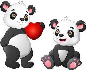 Cute panda couple in love