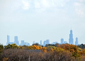 Tuinposter chicago skyline from the west suburbs © Kevin