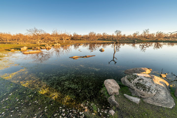 Fototapeta na wymiar Amazing water reflections of the rocks and the bare trees over the lagoon at Extremadura region outdoors, grassfields, lagoons, oaks and lot of cow cattle in the farmland fields of Spain countryside
