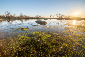 View of a lagoon at the Spanish countryside. A view of the blue sky and bare trees reflections in water on a sunny day. Big farming lands for agriculture and an amazing landscape
