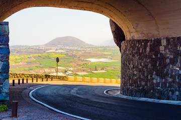 Fototapeta premium Species road to Cape Teno. Tenerife. Canary Islands..Spain