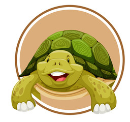 Turtle on circle template