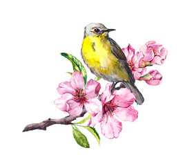 Cute bird on flowering cherry tree branch with spring blossom. Watercolor for spring time design