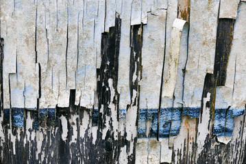 Heavily textured back, white and blue peeling paint surface