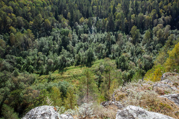 The forest near the cave Ignatievskaya