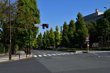 Fototapeta na wymiar 東京都千代田区永田町の国会図書館前の交差点と、街路樹越しの国会図書館の白い建物を撮影した写真 タイトル変更 