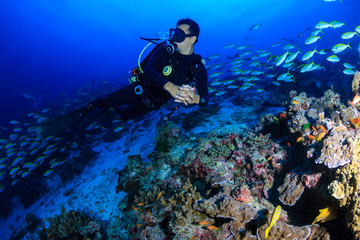 Male SCUBA diver exploring a colorful tropical coral reef in the Andaman Sea