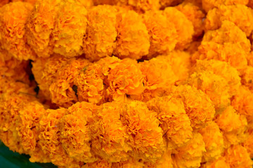 orange marigold chain.