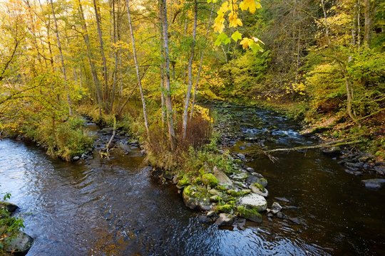 Ilz, Diessensteiner Leite Nature Reserve near Perlesreut, Bavarian Forest, Lower Bavaria, Bavaria, Germany, Europe