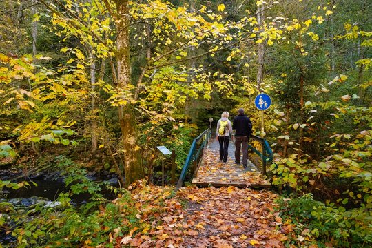 Bridge over Ilz, Diessensteiner Leite nature reserve near Perlesreut, Bavarian Forest, Lower Bavaria, Bavaria, Germany, Europe