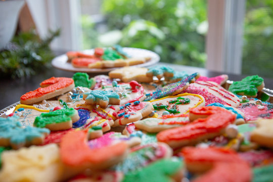 Festive Sugar Cookies