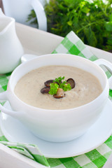 Oyster mushroom mushroom soup in a white plate, selective focus