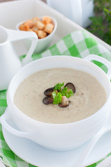 Oyster mushroom mushroom soup in a white plate, selective focus