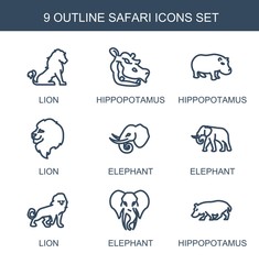 9 safari icons