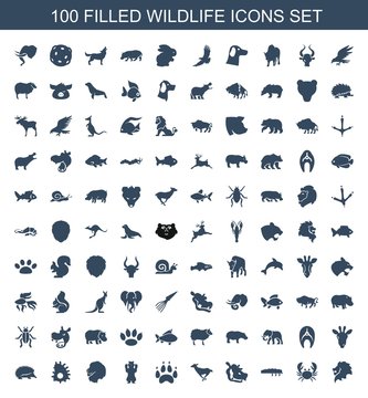 100 Wildlife Icons