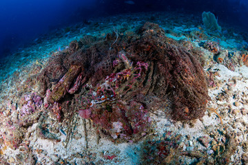 An abandoned Ghost fishing net entangled on a tropical coral reef in Asia