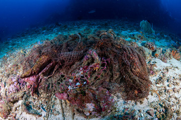 Fototapeta na wymiar An abandoned Ghost fishing net entangled on a tropical coral reef in Asia