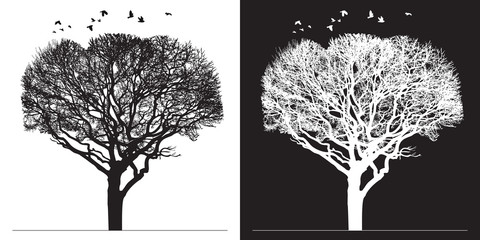 Tree silhouette and birds - black and white vector illustration. Realistic detailed graphic image of natural forest plant with bare branches without leaves.