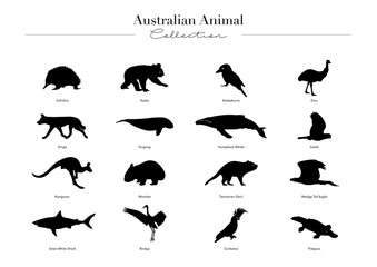 Australian Animal Collection © Karl