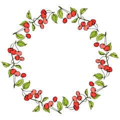 Vector Cherry fruits on white background. Green leaf. Red and green engraved ink art. Frame border ornament square.