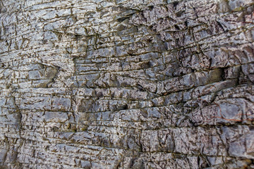 Background use nice rock