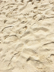 Footprints in the sand on the beach