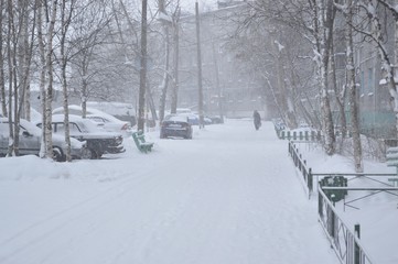 snowstorm on the street.