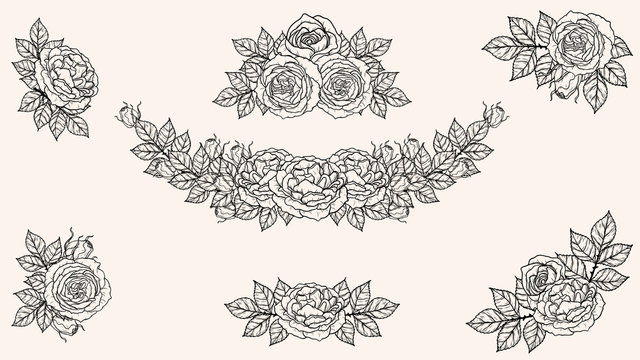Rose ornament vector by hand drawing.Beautiful flower on brown background.Sunset memory rose vector art highly detailed in line art style.Flower tattoo for paint or pattern.