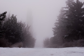 Obraz na płótnie Canvas Winter weather , snow road , foggy snow