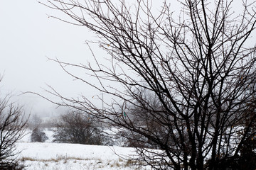 Fototapeta na wymiar Winter weather , snow road , foggy snow