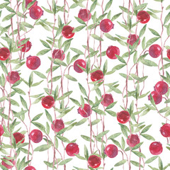 Seamless watercolor pattern with cranberry on a white background.