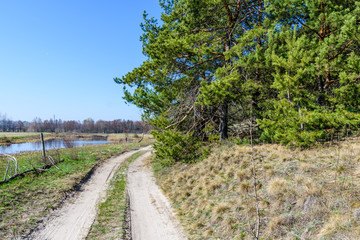 Dirt road near the forest on early spring