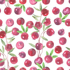 Seamless watercolor pattern with cranberry on a white background.