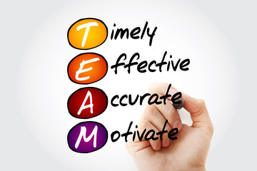 TEAM - Timely, Effective, Accurate, Motivate, acronym business concept with marker